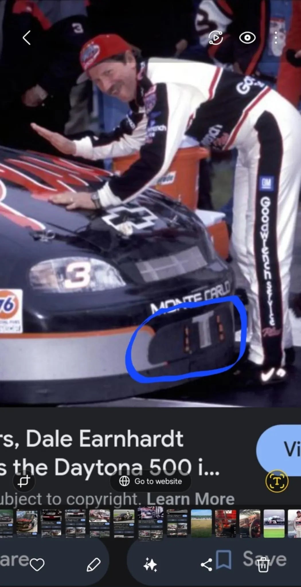 Mid to Late 90's Monte Carlo Lower Grill (Dale Sr)
